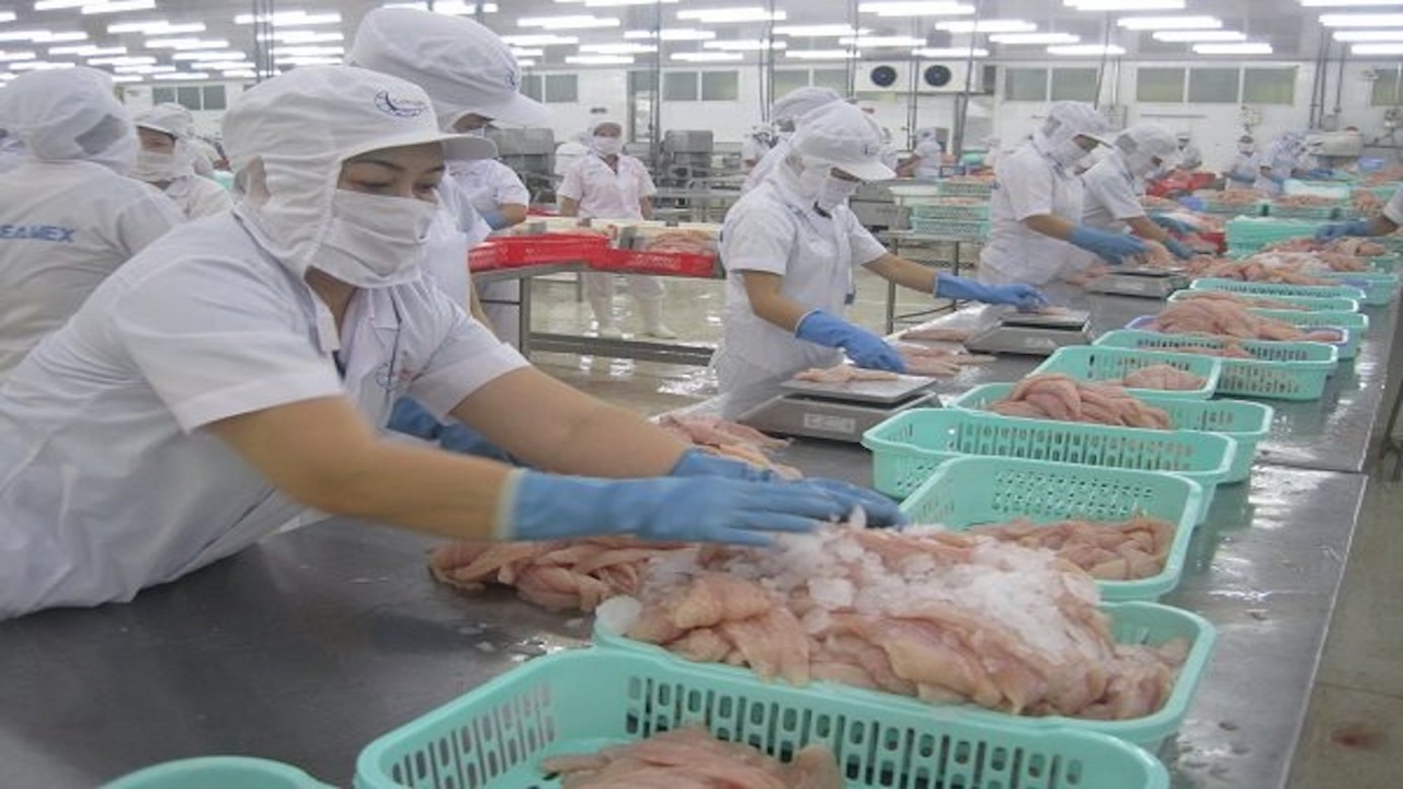 Shrimp exports plunge in Q1 - The Saigon Times