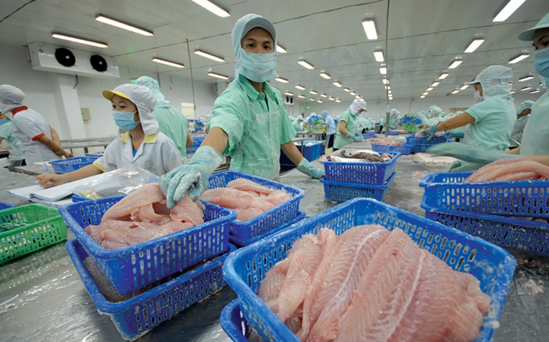 Japan becomes largest buyer of Vietnam seafood - The Saigon Times
