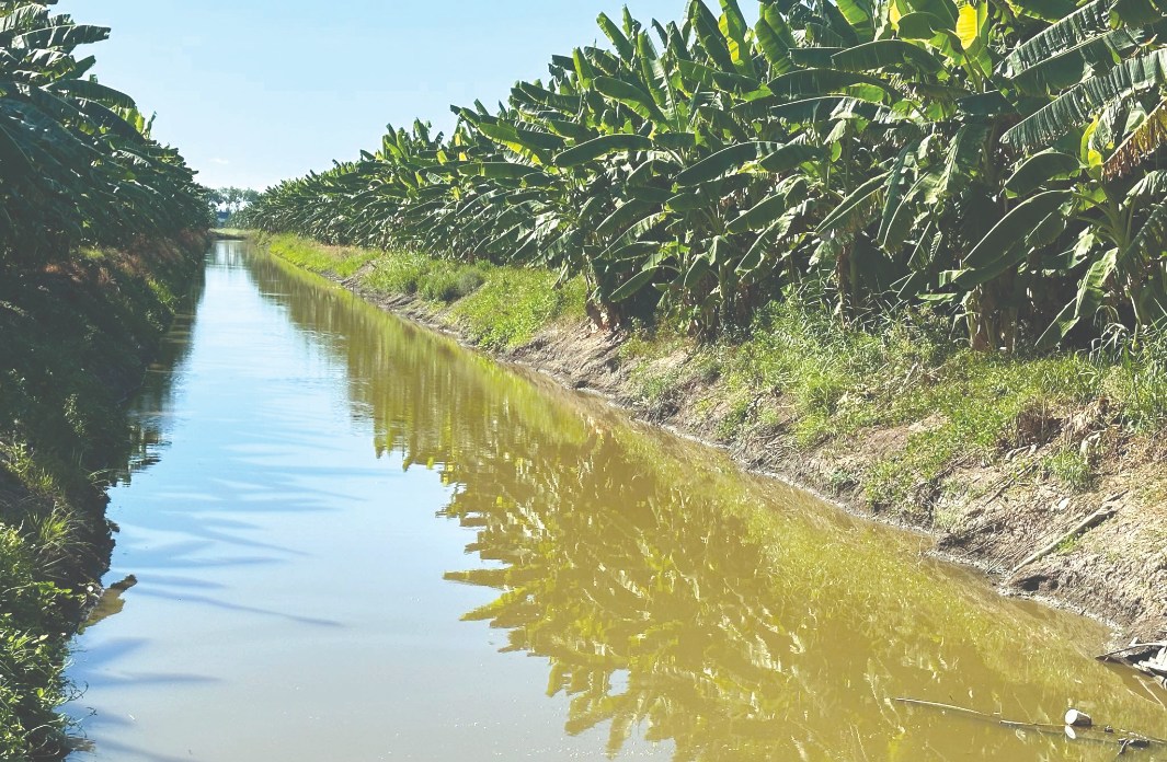 Saline water is a resource