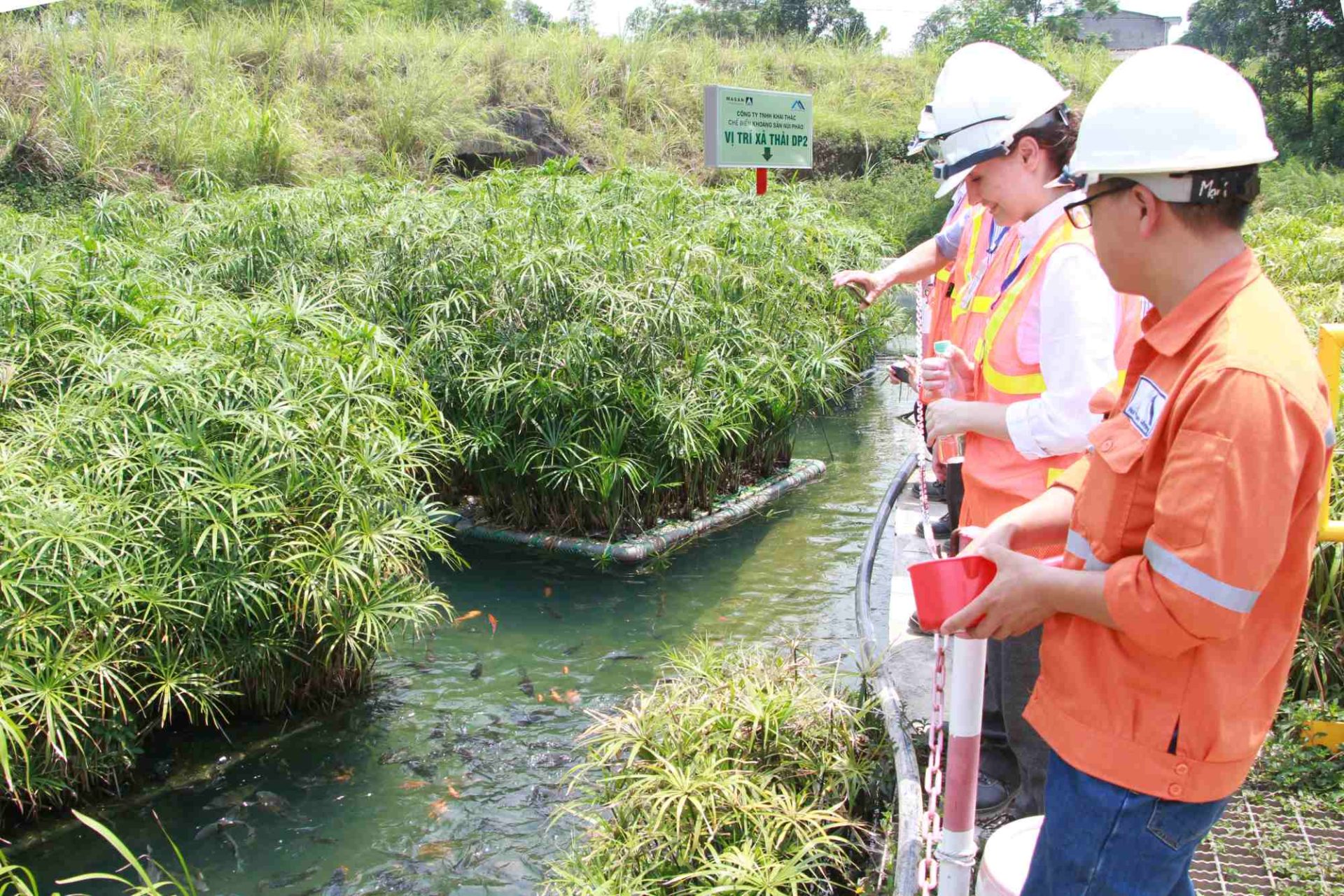 Masan named among top 50 sustainable companies for fourth year - The ...