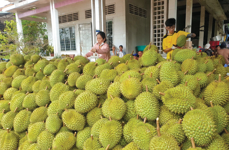China’s new import rules raise bar for farm, food exports
