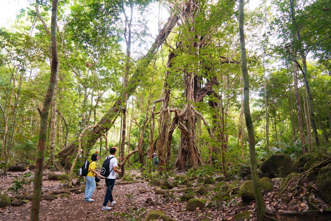 Cat Tien National Park wins four ecotourism awards