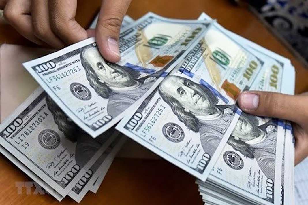 Central bank acts to stabilize forex market amid soaring dollar