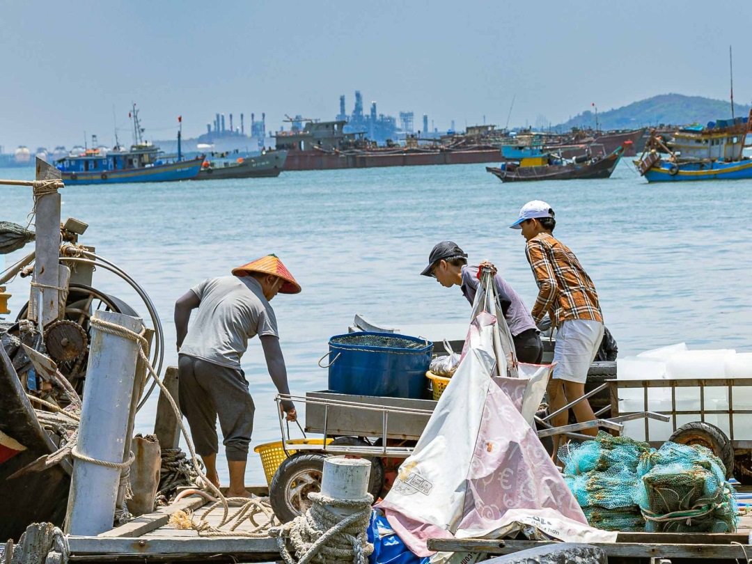 Vietnam urges EU to send IUU inspection team to Vietnam