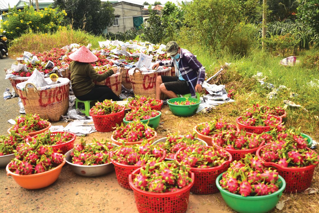A motivation for Mekong Delta