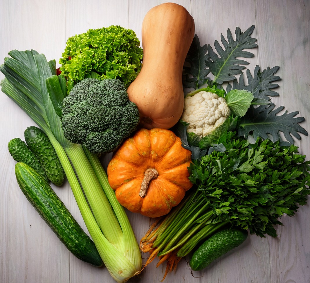 Proper plant-based diets for weight loss