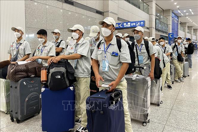 Over 121,000 Vietnamese workers sent abroad in Jan-Oct