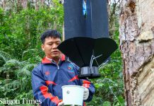 Australia-backed project strengthens forest biosecurity in Vietnam