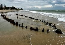 Storm uncovers centuries-old shipwreck in Danang