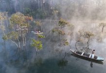 Suoi Tia: Ethereal retreat in Central Highlands