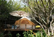 Slow travel on Thoi Son Islet