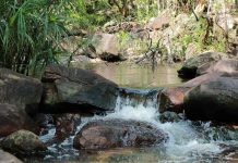 Suoi Tien: A pristine sanctuary on Phu Quoc Island